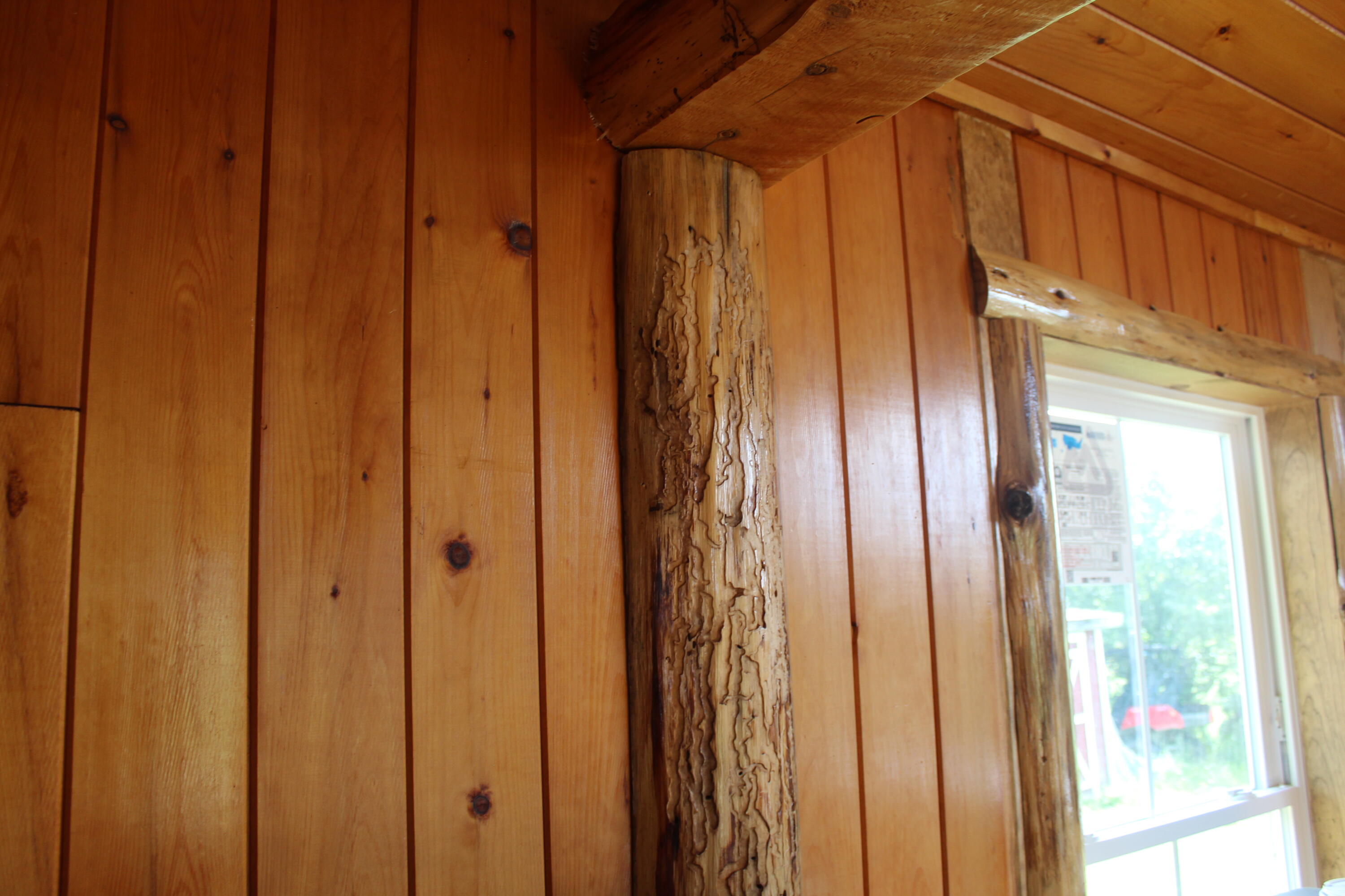 178 Siberia Road Stacyville, ME 04777 - Photo 14 of 47 IMG_6925