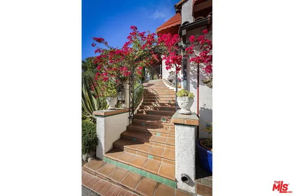 a view of a potted plant in front of a door