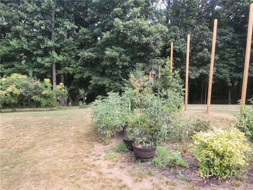 679 Presbyterian Road Mooresville, NC 28115 - Photo 21 of 25 a backyard of a house with fountain plants and trees