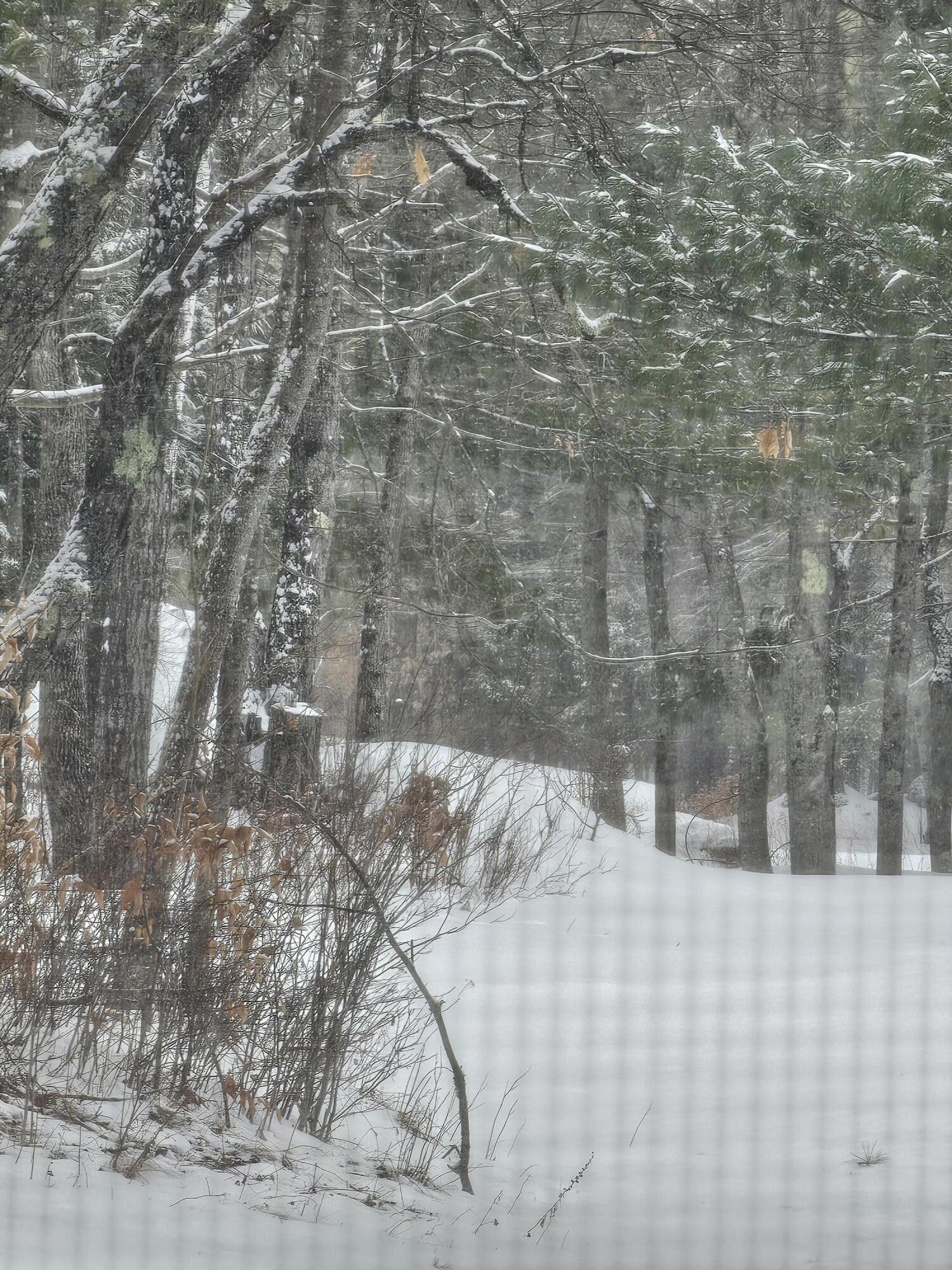 1 Andrews Road Bryant Pond, ME 04219 - Photo 2 of 4 20260207_111829