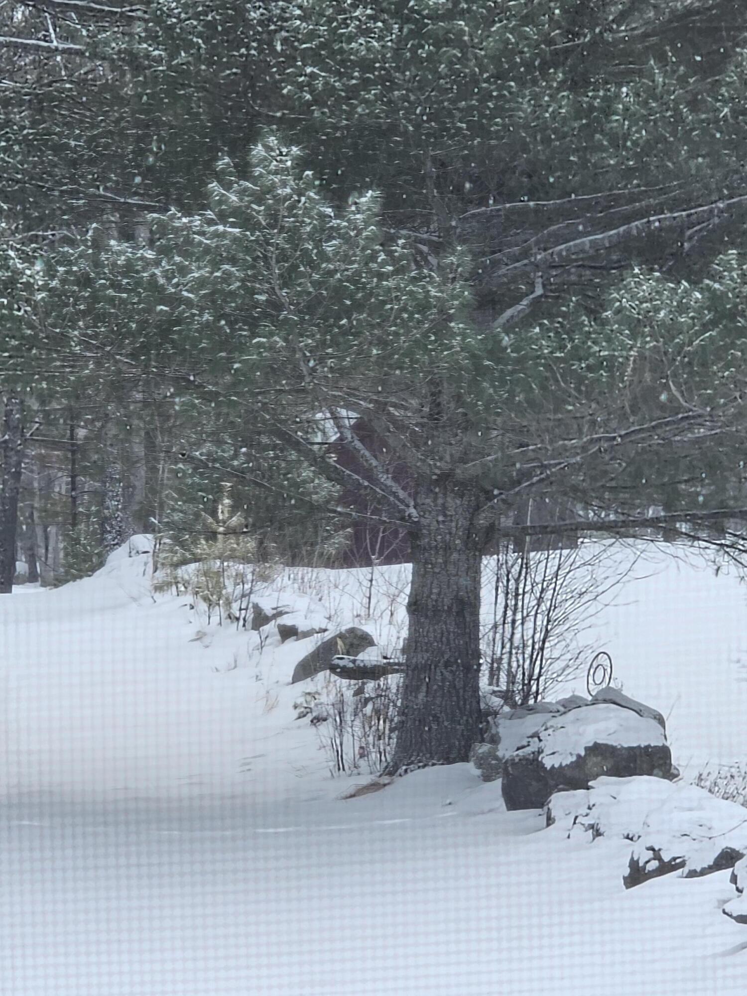 1 Andrews Road Bryant Pond, ME 04219 - Photo 3 of 4 20260207_112054