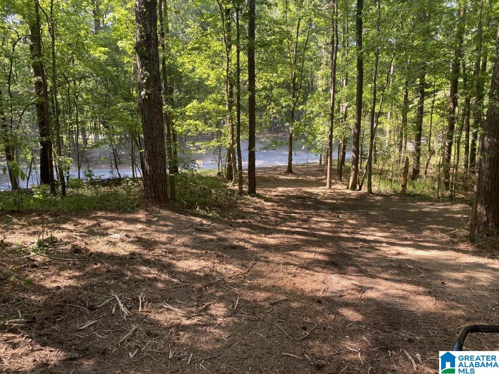 Oak Tree Drive, Unit C2/A Chelsea, AL 35043 - Photo 4 of 11