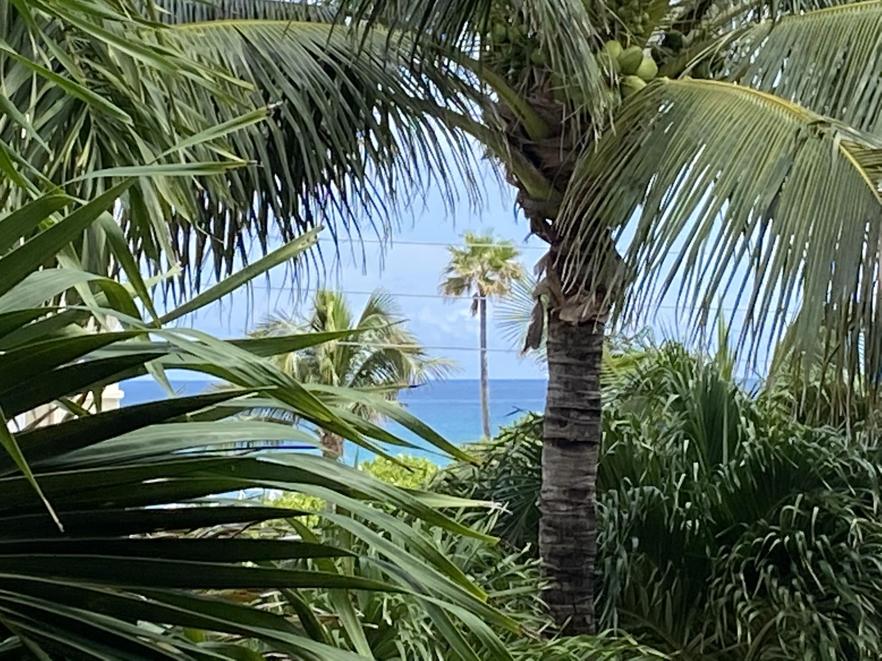 460 Surfside Lane Juno Beach, FL 33408 - Photo 30 of 43 IMG-2911