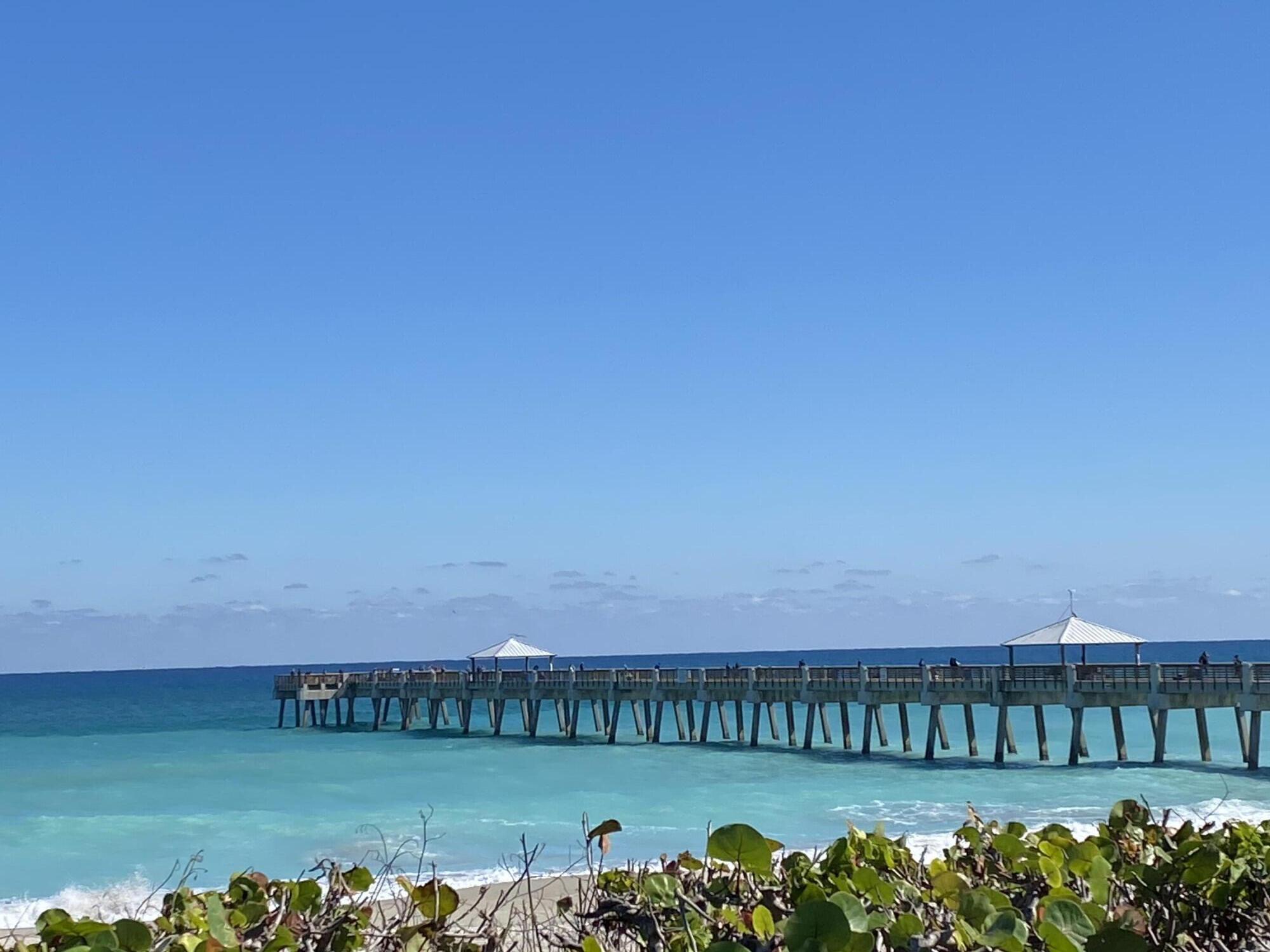 460 Surfside Lane Juno Beach, FL 33408 - Photo 35 of 43 IMG-4193