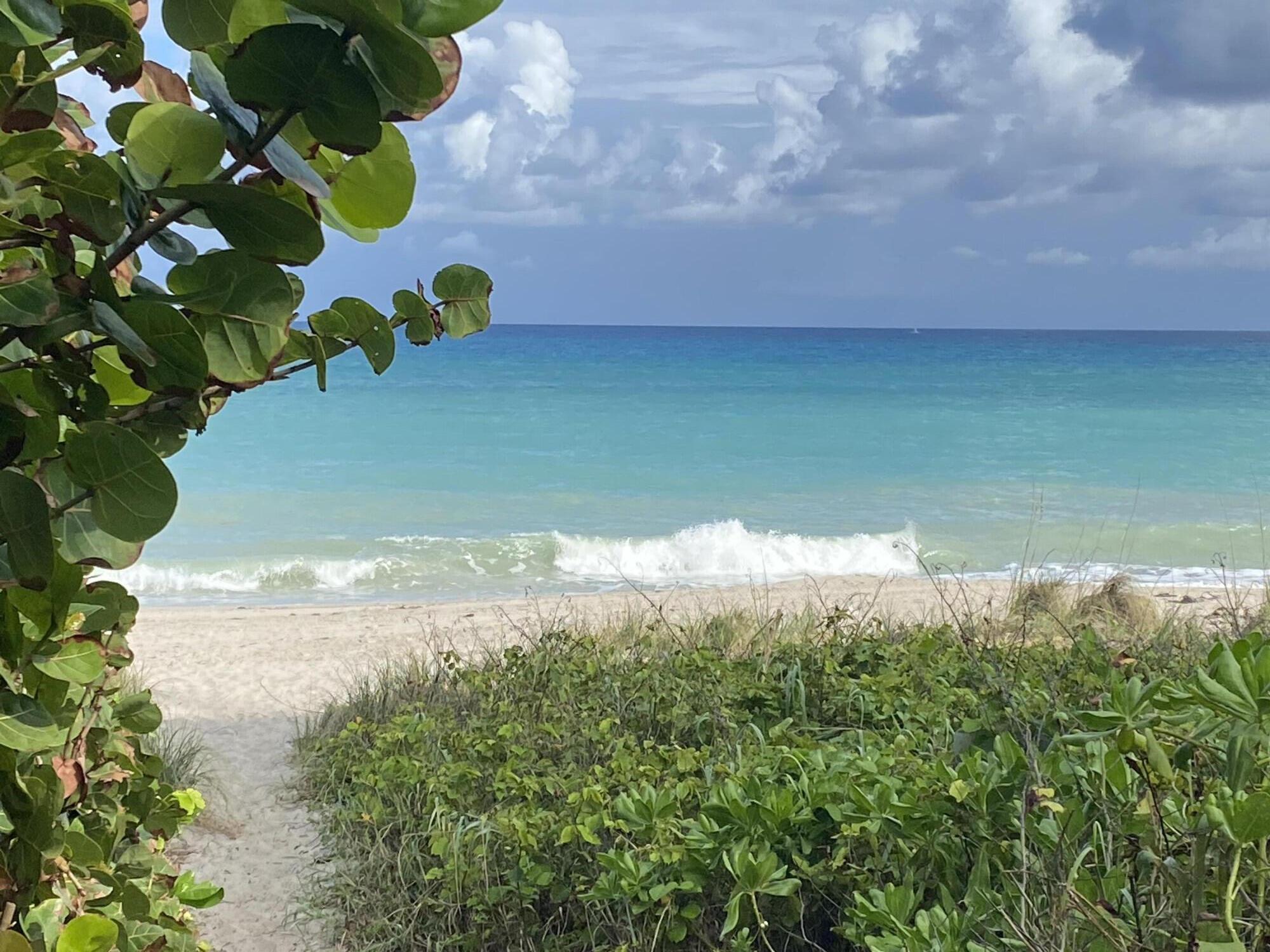 460 Surfside Lane Juno Beach, FL 33408 - Photo 36 of 43 IMG-0356