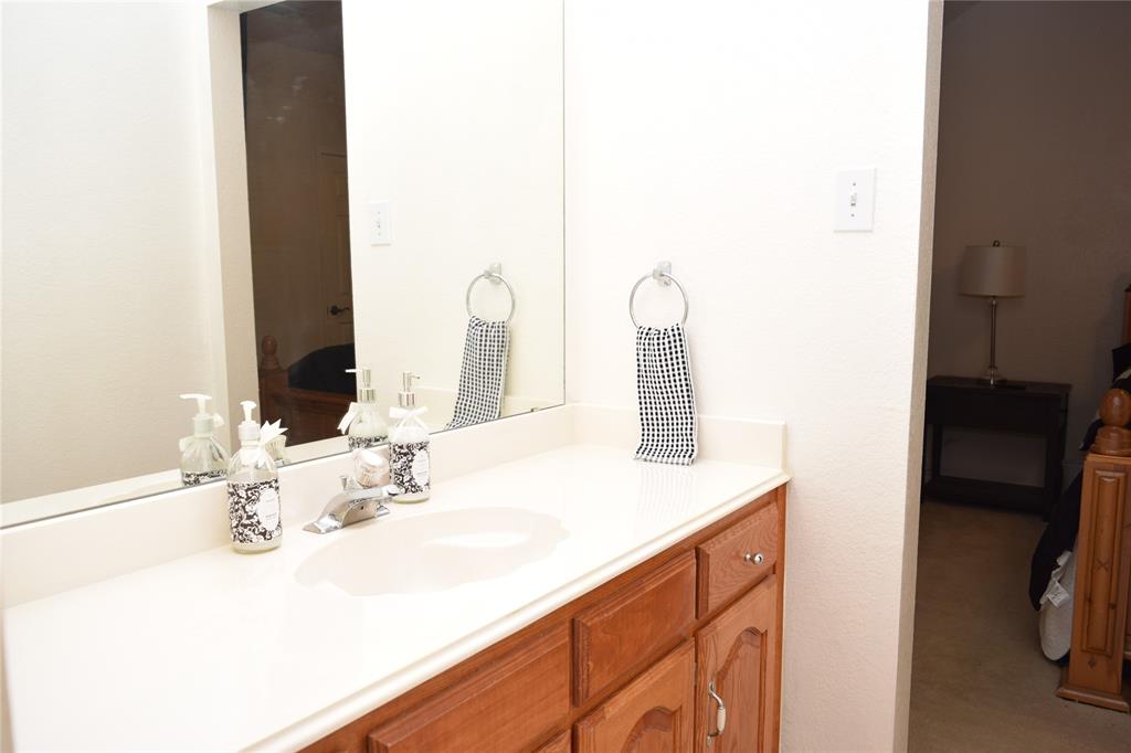 4201 Glistening Spring Rowlett, TX 75088 - Photo 22 of 33 Bathroom vanity featuring a single basin, a polished chrome faucet, and a large wall-mounted mirror