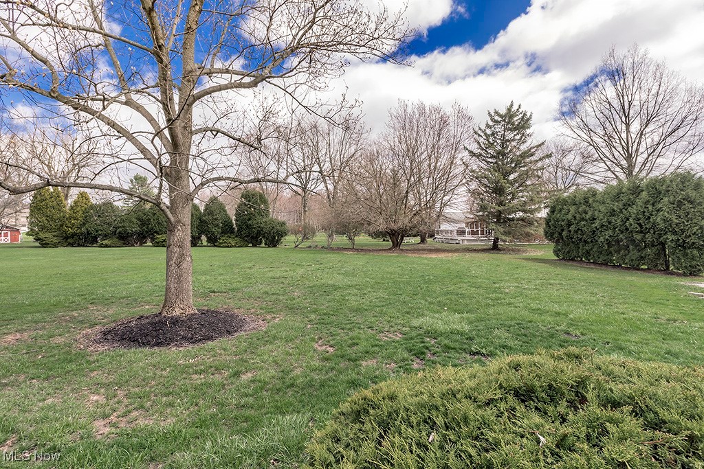 545 Miner Road Cleveland, OH 44143 - Photo 6 of 50