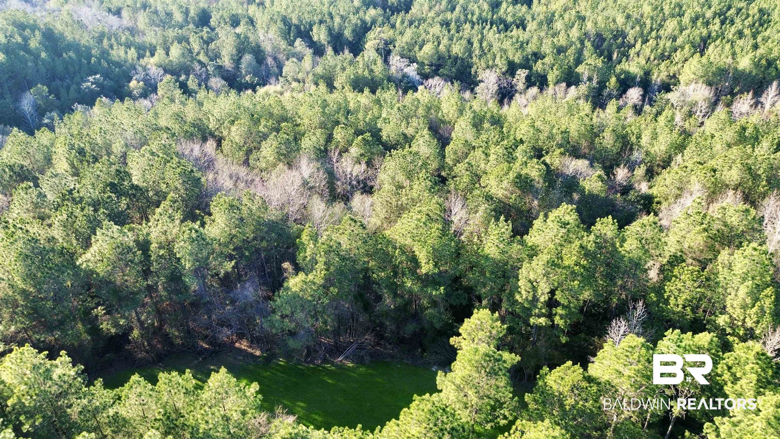 0 Ward Road Frisco City, AL 36445 - Photo 6 of 12 Drone / aerial view with a wooded view