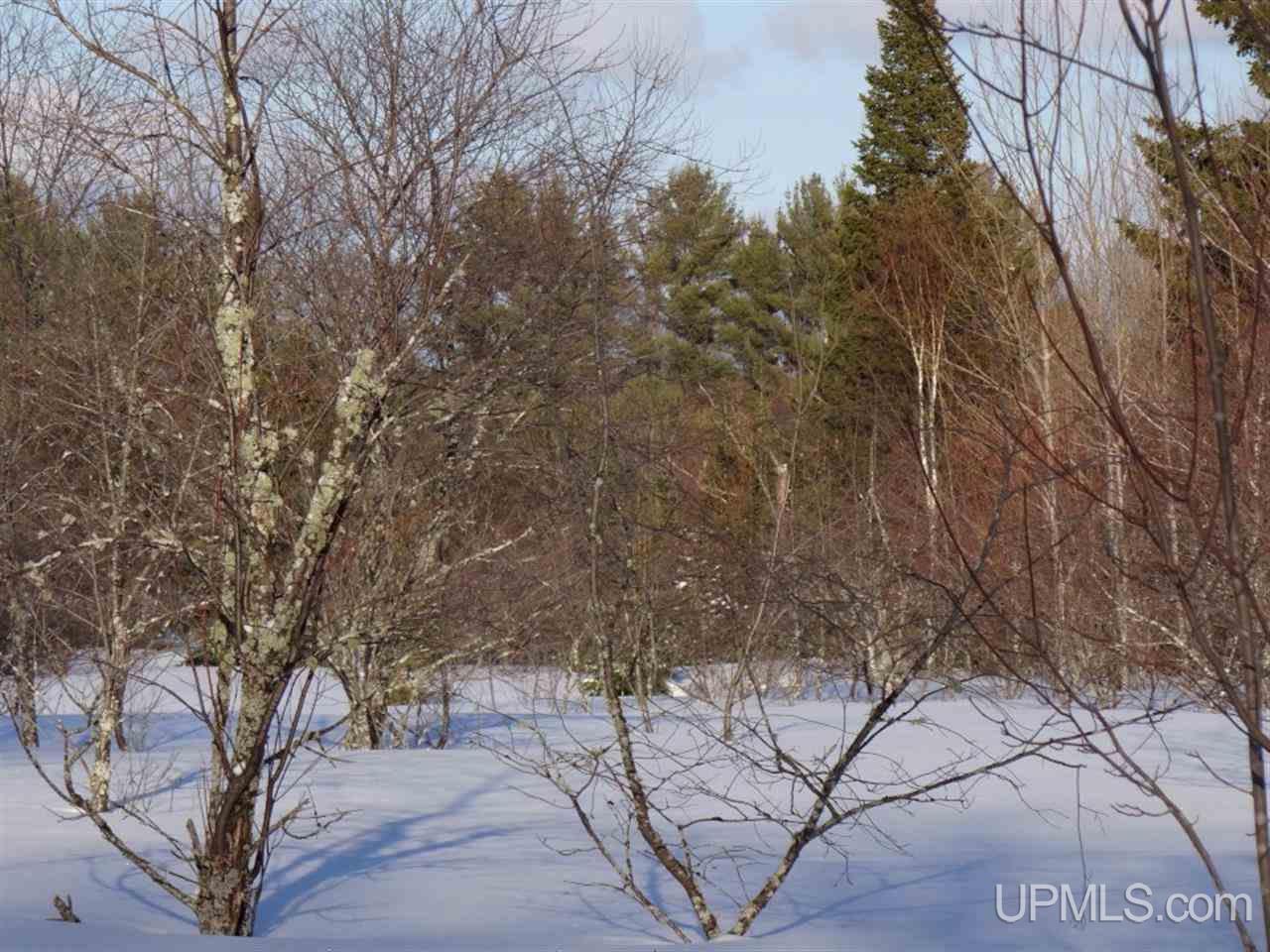 Tbd Tbd Puuri Road Atlantic Mine, MI 49905 - Photo 10 of 10 Gallery Image 10