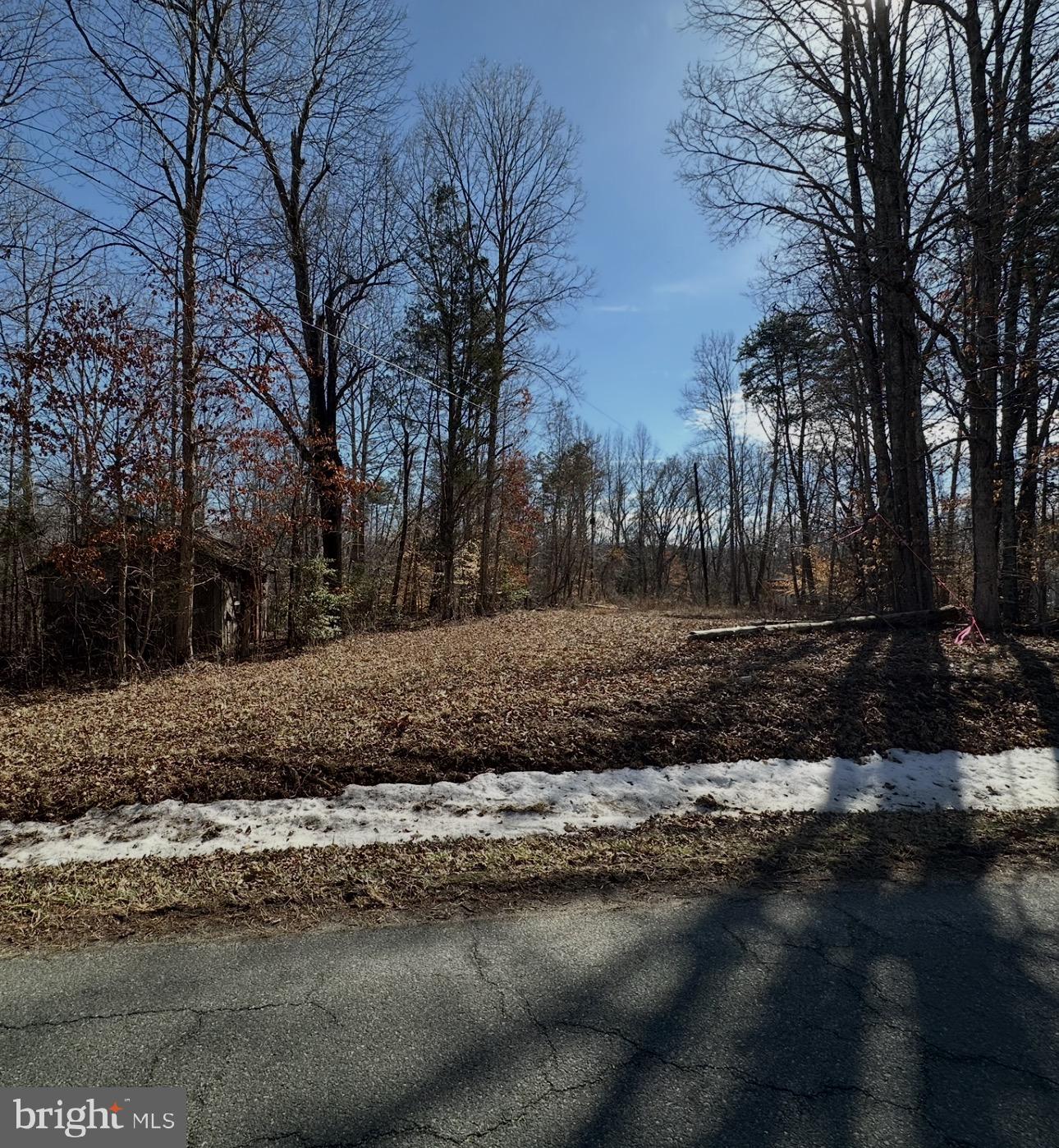 0 Stage Junction Road Columbia, VA 23038 - Photo 1 of 3 a view of a yard with a fountain