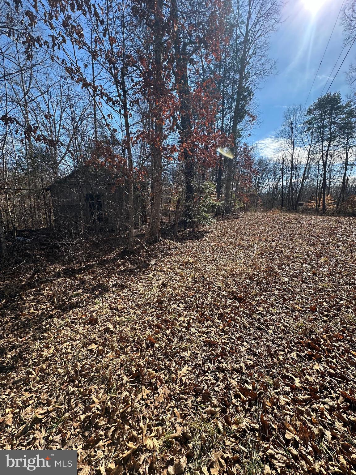 0 Stage Junction Road Columbia, VA 23038 - Photo 2 of 3 a view of outdoor space and yard