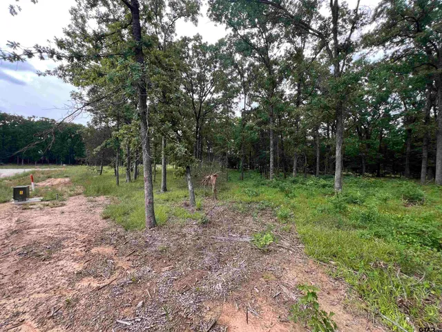 $79,000 | Tbd Lot 40 Tbd, Quitman, TX 75783