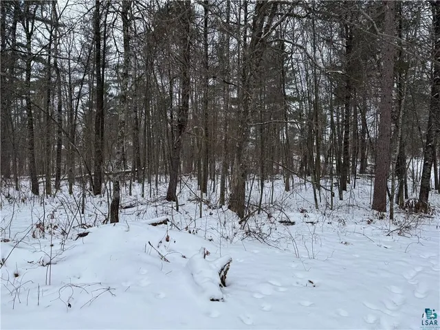 $175,000 | Lot 1 Gurno Lake Road, Hayward, WI 54843