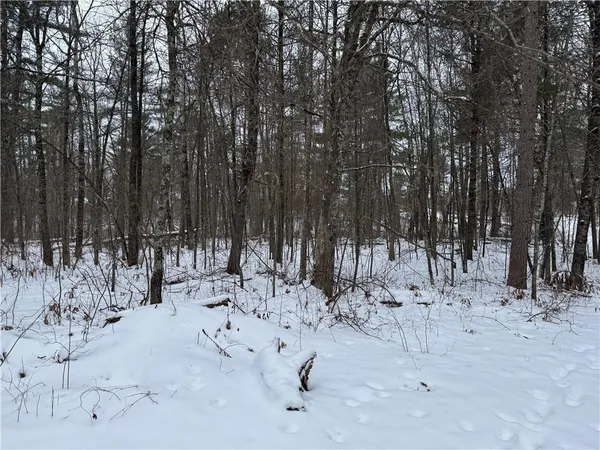 $185,000 | Lot 1 Gurno Lake Road, Hayward, WI 54843