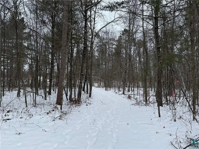 $175,000 | Lot 1 Gurno Lake Road, Hayward, WI 54843