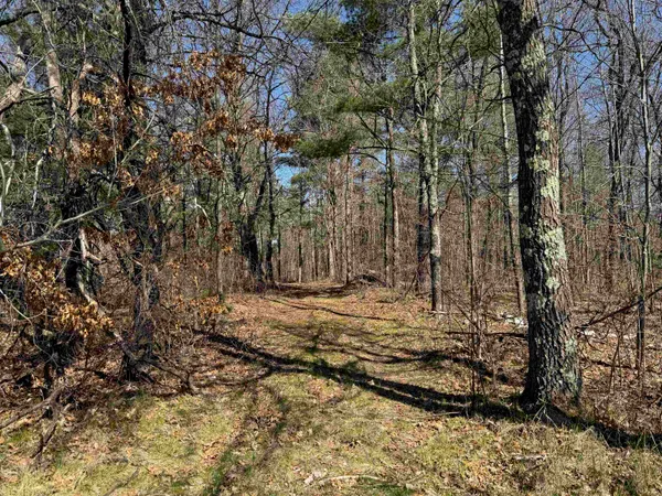 $185,000 | Lot 1 Gurno Lake Road, Hayward, WI 54843