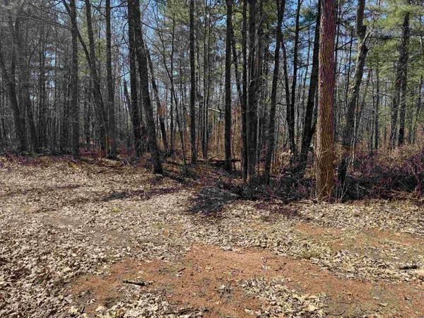 $185,000 | Lot 1 Gurno Lake Road, Hayward, WI 54843