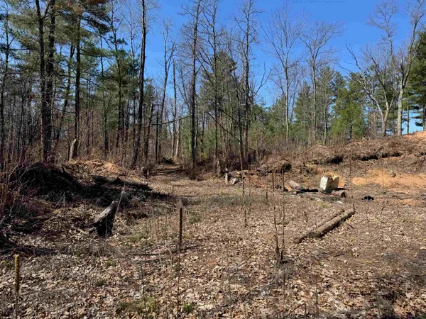 $185,000 | Lot 1 Gurno Lake Road, Hayward, WI 54843