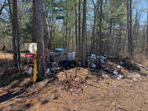 $185,000 | Lot 1 Gurno Lake Road, Hayward, WI 54843