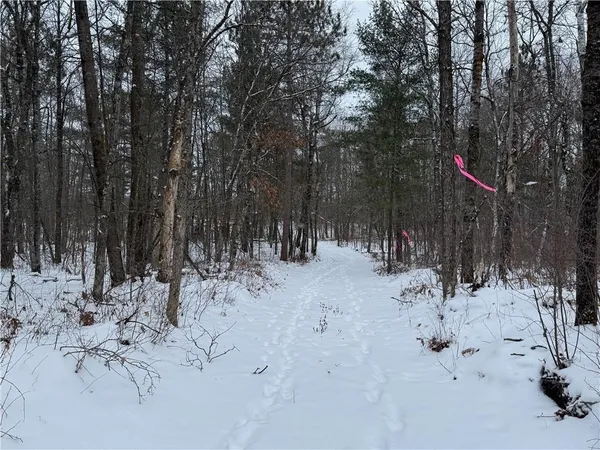 $185,000 | Lot 1 Gurno Lake Road, Hayward, WI 54843