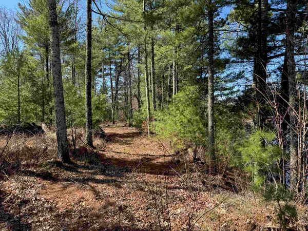 $185,000 | Lot 1 Gurno Lake Road, Hayward, WI 54843