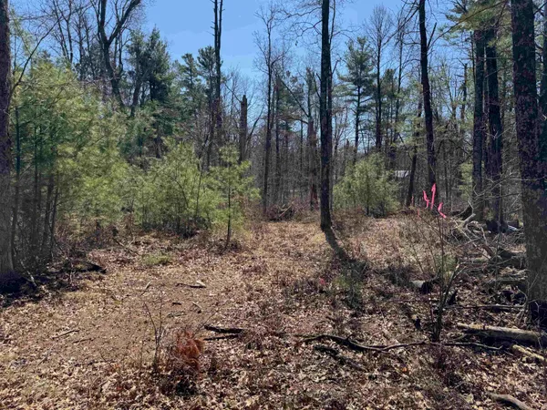 $185,000 | Lot 1 Gurno Lake Road, Hayward, WI 54843