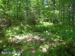 0 Whiskey Run Road Muncy Valley, PA 17758 - Photo 7 of 11 20141206151804992771000000-o