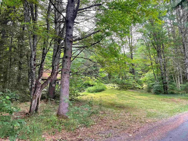 $372,500 | 463 Chartier Hill Road, Woodbury, VT 05650