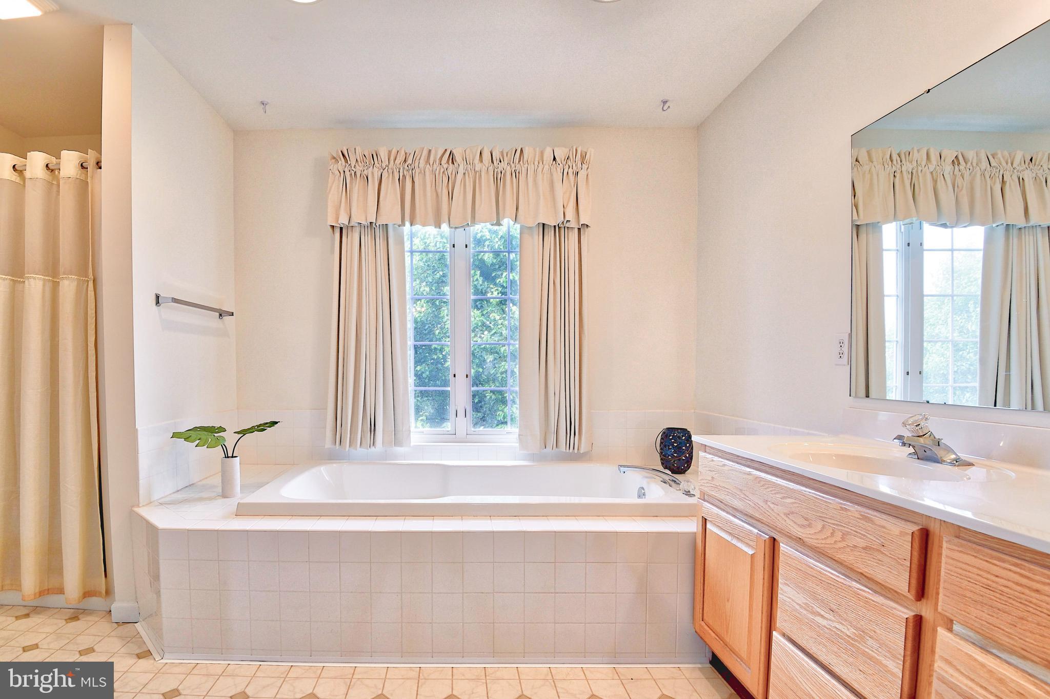 215 Runningboard Road Stewartstown, PA 17363 - Photo 19 of 30 Master Bathroom with Soaker Tub/Separate Shower