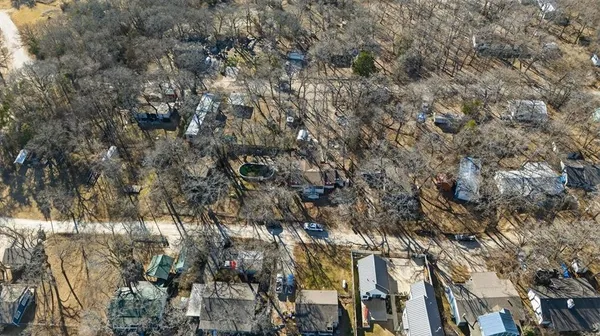 a close up of a bunch of flowers