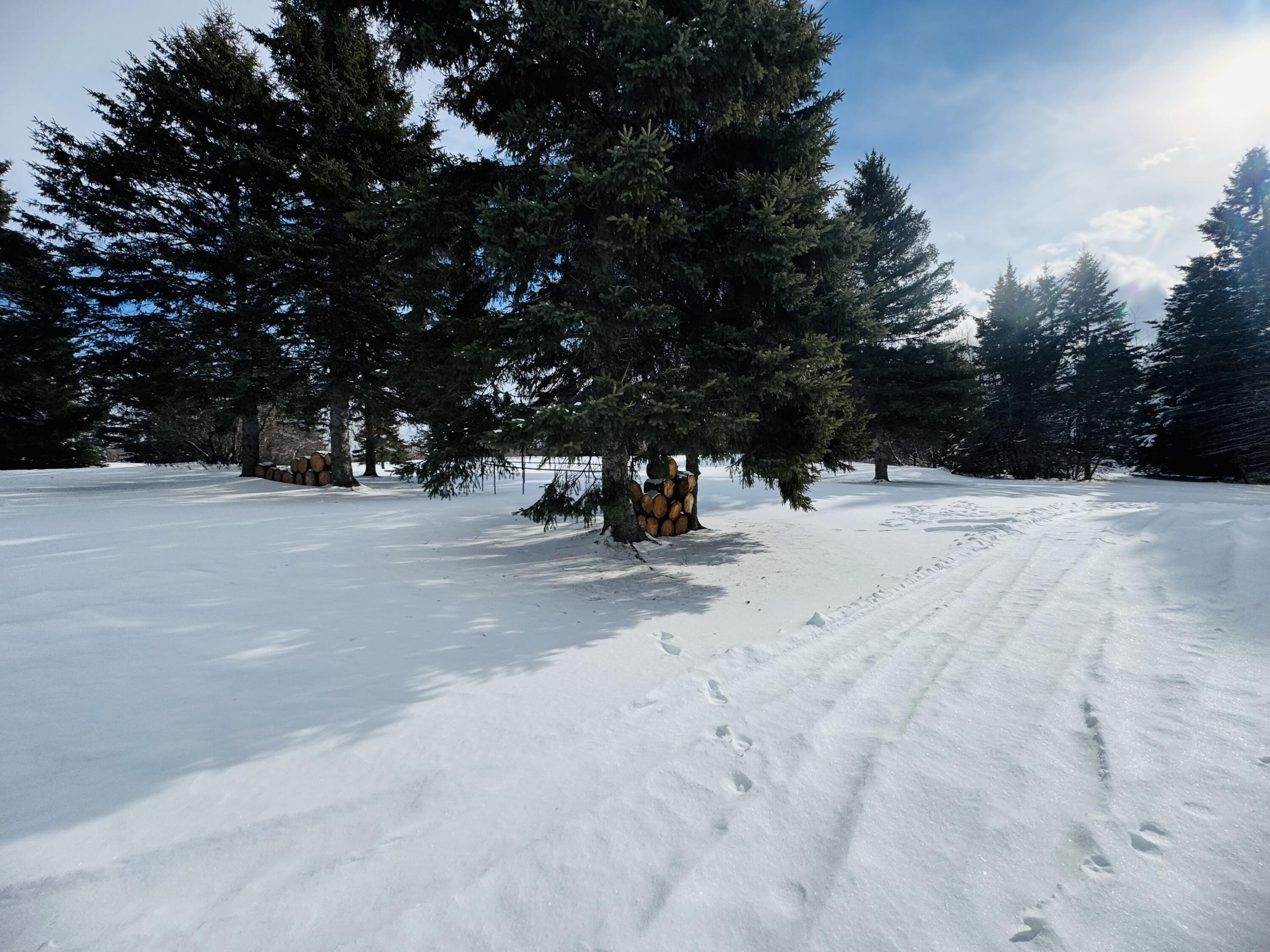 49 Spruce Ridge Road Caribou, ME 04736 - Photo 4 of 37 IMG_9662