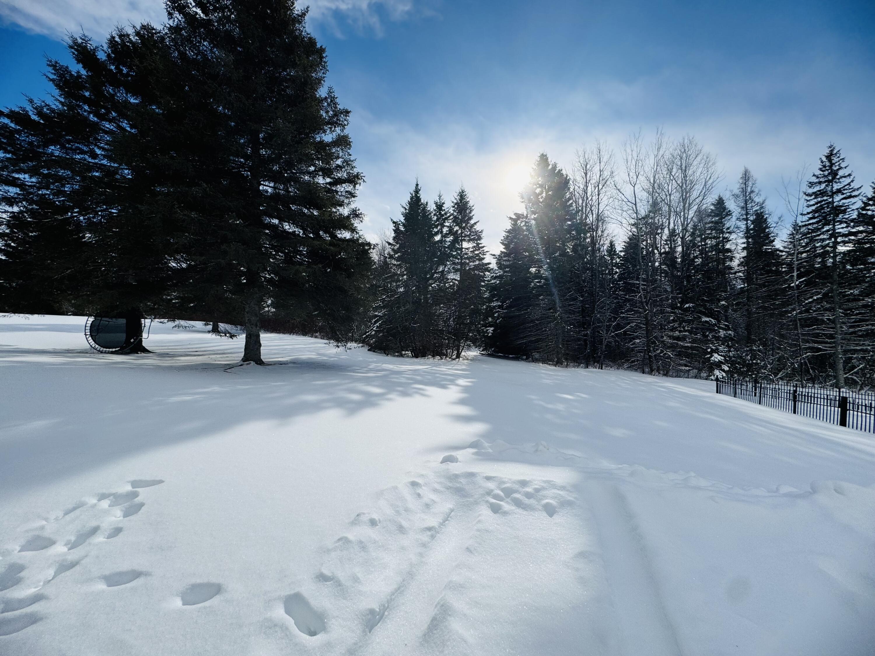 49 Spruce Ridge Road Caribou, ME 04736 - Photo 5 of 37 IMG_9668