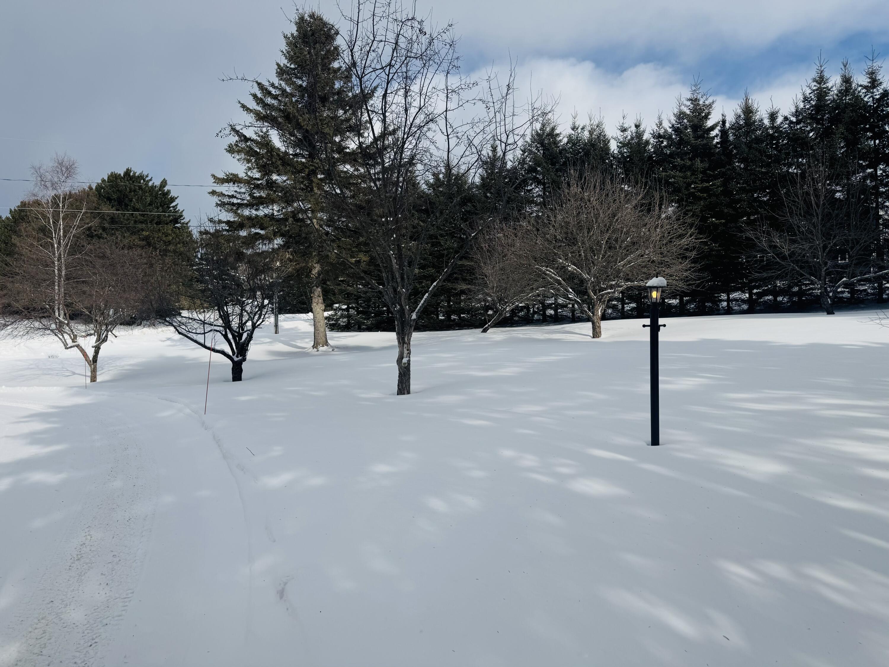 49 Spruce Ridge Road Caribou, ME 04736 - Photo 6 of 37 IMG_9655