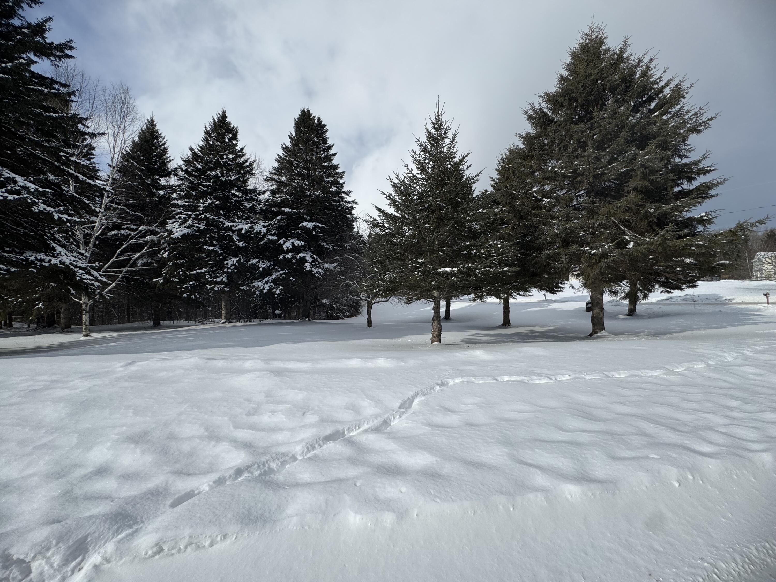 49 Spruce Ridge Road Caribou, ME 04736 - Photo 7 of 37 IMG_9657
