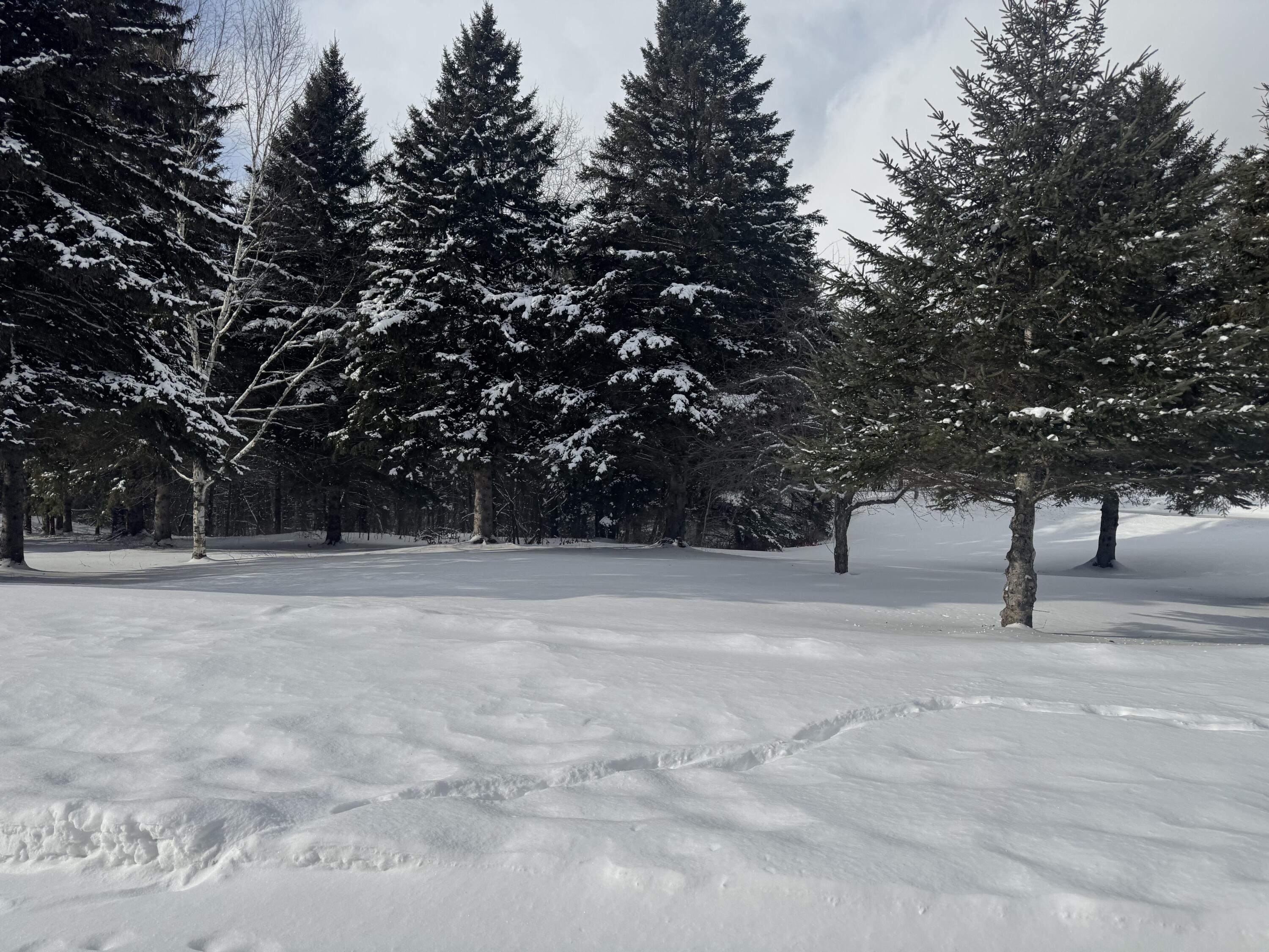 49 Spruce Ridge Road Caribou, ME 04736 - Photo 8 of 37 IMG_9656