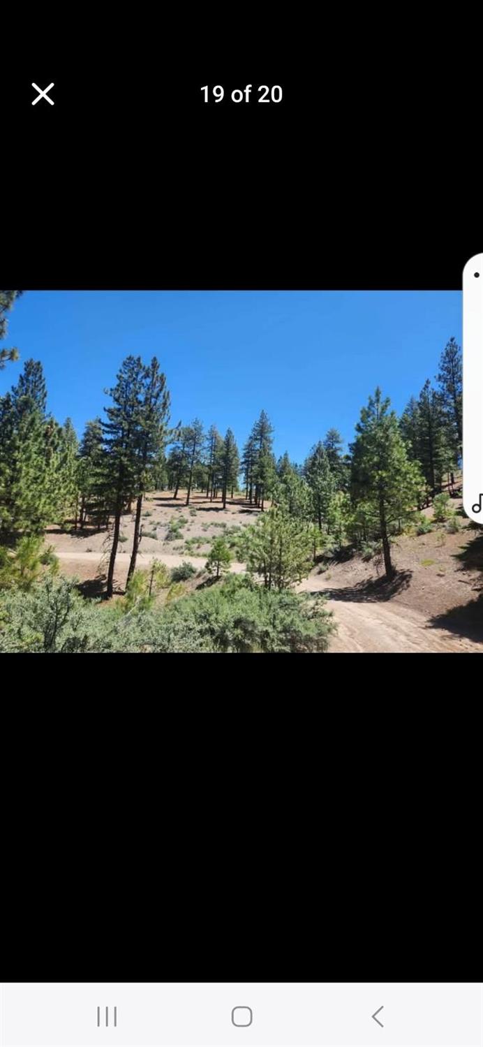 0 Cheney Creek Road Susanville, CA 96130 - Photo 7 of 18 a view of a city