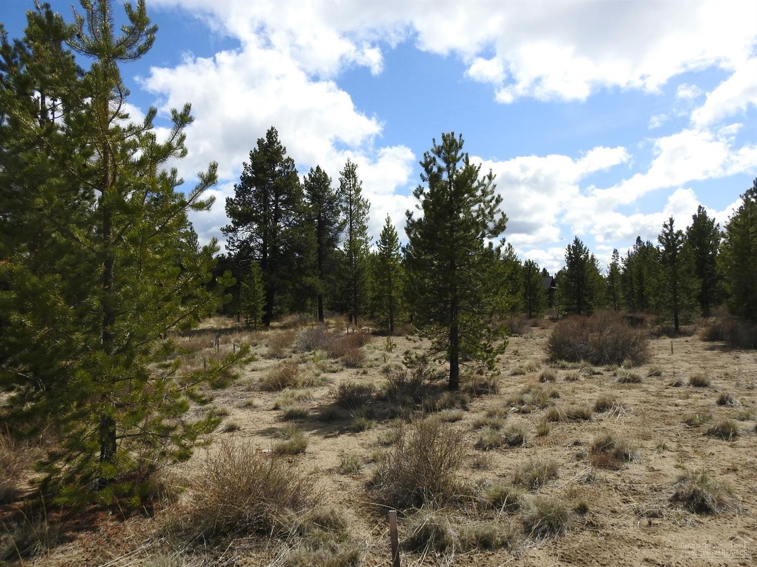 56534 Sunstone Loop Bend, OR 97707 - Photo 5 of 25 Additional Photo