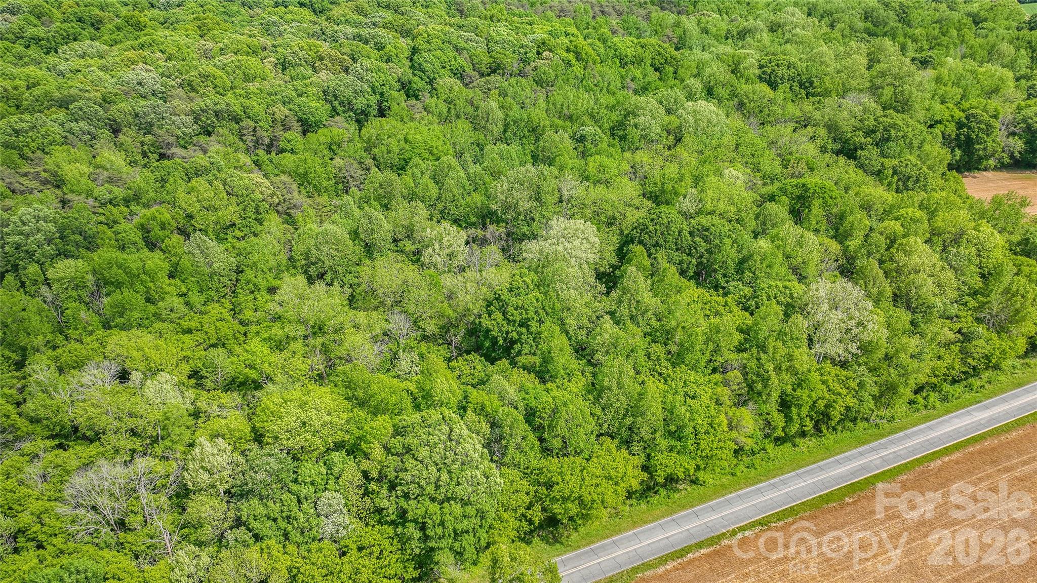 0 McIntyre Road, Unit 1 2 3 4 5 Wingate, NC 28174 - Photo 11 of 25 a view of a green field with plants