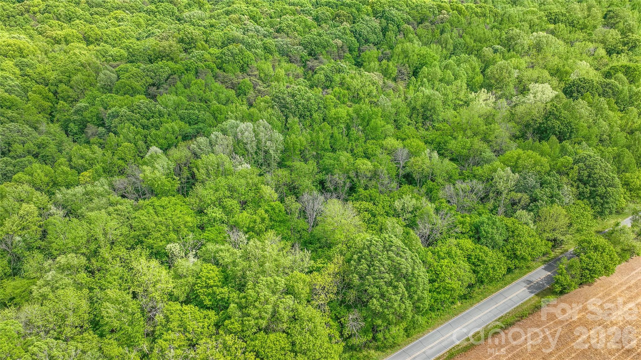 0 McIntyre Road, Unit 1 2 3 4 5 Wingate, NC 28174 - Photo 12 of 25 a view of a green field with plants