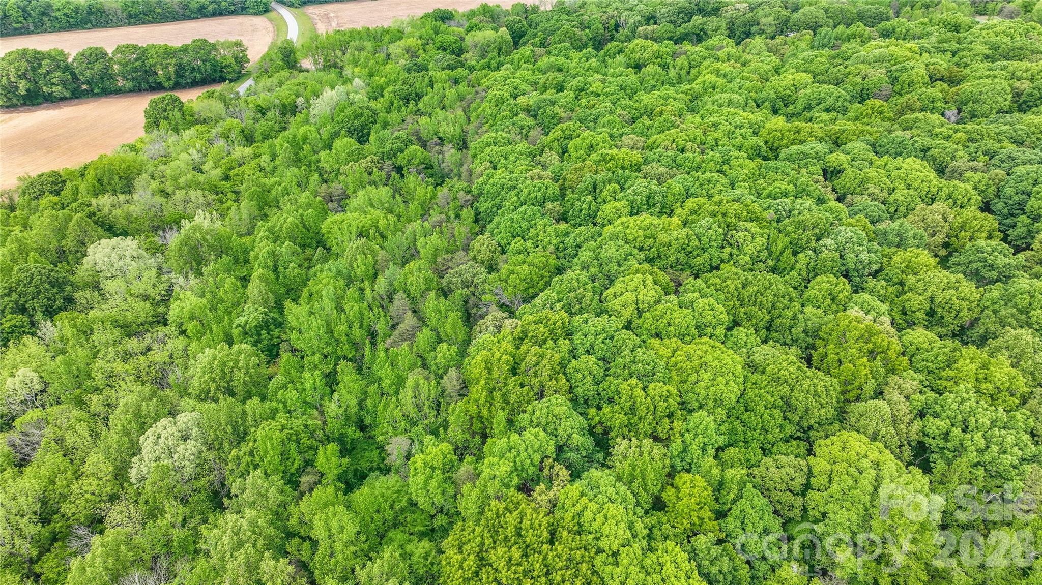 0 McIntyre Road, Unit 1 2 3 4 5 Wingate, NC 28174 - Photo 17 of 25 a view of a lush green field