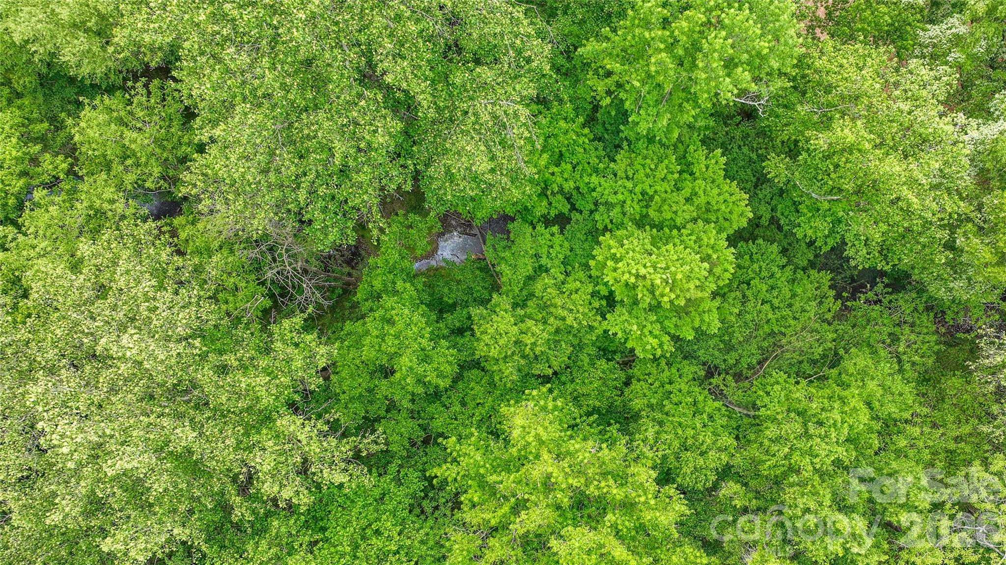 0 McIntyre Road, Unit 1 2 3 4 5 Wingate, NC 28174 - Photo 18 of 25 a view of a lush green forest