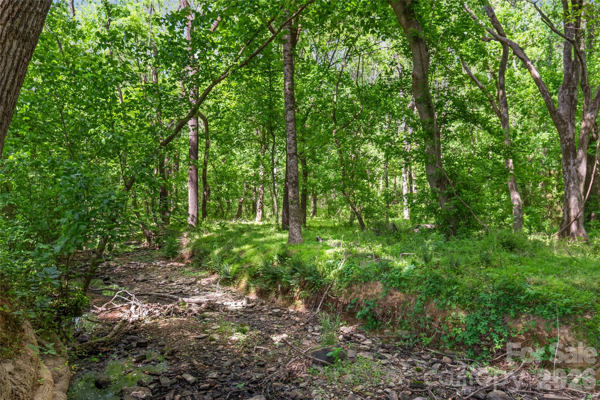 0 McIntyre Road, Unit 1 2 3 4 5 Wingate, NC 28174 - Photo 6 of 25 a view of outdoor space and green space