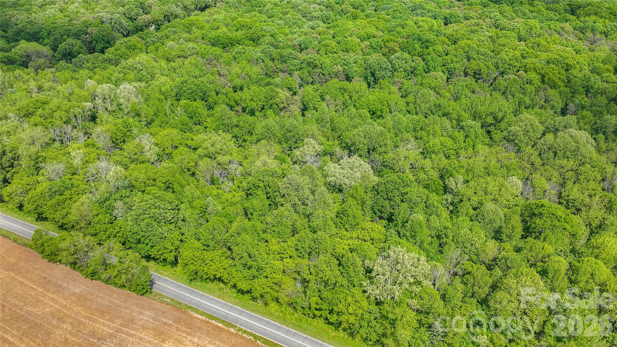 0 McIntyre Road, Unit 1 2 3 4 5 Wingate, NC 28174 - Photo 9 of 25 a view of a green field with plants