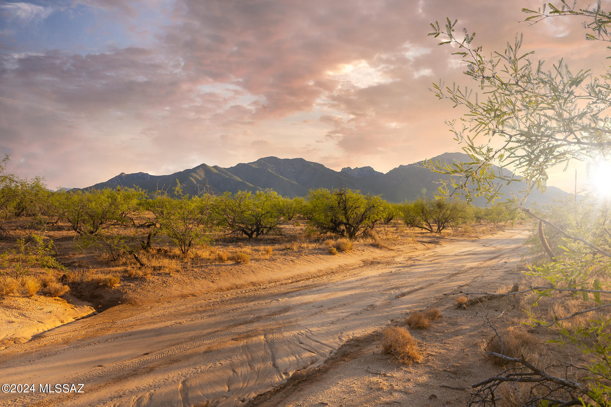 12351 South Coleman Road Tucson, AZ 85735 - Photo 40 of 50 Gallery Image 40