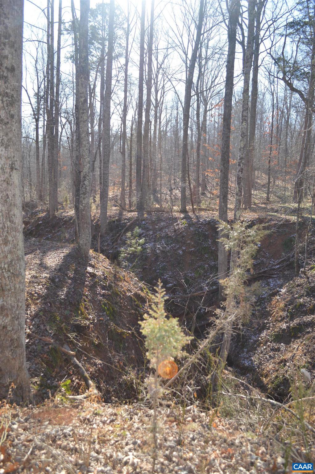 Frays Ridge, Unit 37 Earlysville, VA 22936 - Photo 8 of 18