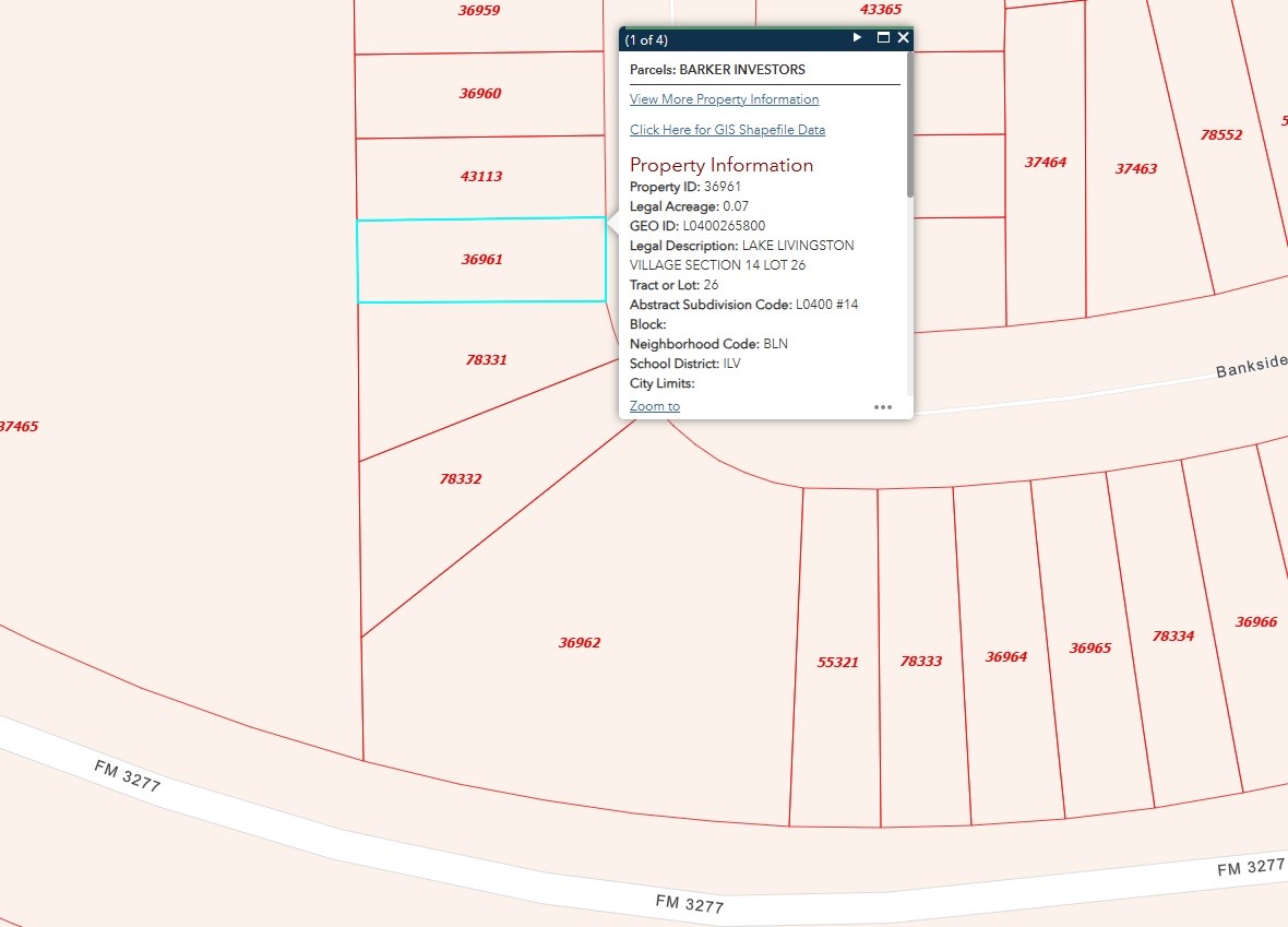 Tbd Bankside Livingston, TX 77351 - Photo 2 of 3