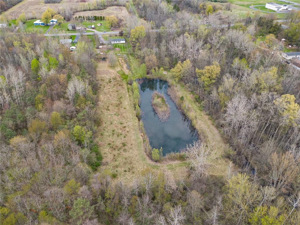 4173 Hosey Road Palmyra, NY 14522 - Photo 7 of 32