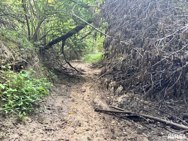 $80,000 | 2750 Nortonville Road, Franklin, IL 62638