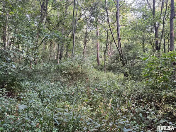 $80,000 | 2750 Nortonville Road, Franklin, IL 62638