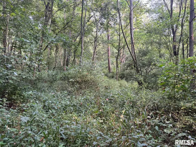 $80,000 | 2750 Nortonville Road, Franklin, IL 62638